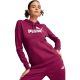 10. Bluza Puma ESS Logo Hoodie FL W 586789 52