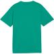 4. Koszulka dla dzieci Puma TeamGoal Jersey zielona 658637 05