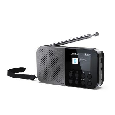 Sharp DR-P520 Osobisty Cyfrowy Szary