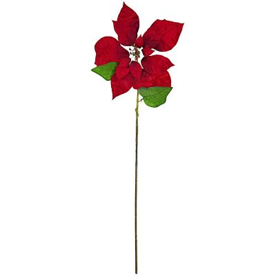 2. GWIAZDA BETLEJEMSKA 30CM CZERWONA
