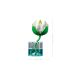 8. LEGO Botanical Collection 11511 - Lilie wodne