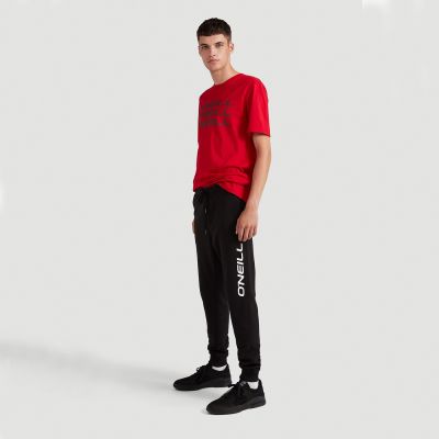 6. Spodnie O'Neill Lm Jogger Pants M 92800374882