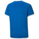 2. Koszulka Puma teamLIGA Jersey Jr 704925 02