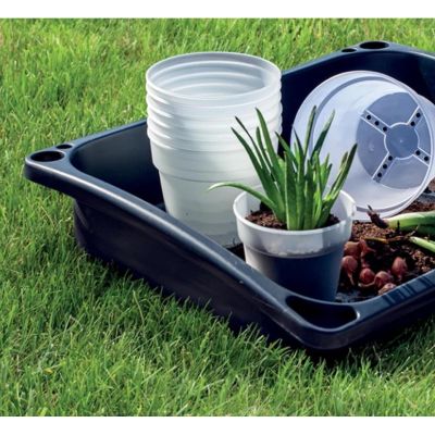 2. DONICZKA PLANTI PRZEŹROCZYSTA 12CM