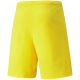 2. Spodenki Puma teamRISE Cyber M 704942 07