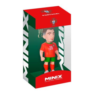 4. MINIX PORTUGAL - FRANCISCO CONCEICAO
