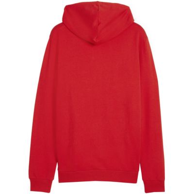 4. Bluza Puma Team Goal Casuals Hooded M 658595 01