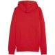 4. Bluza Puma Team Goal Casuals Hooded M 658595 01
