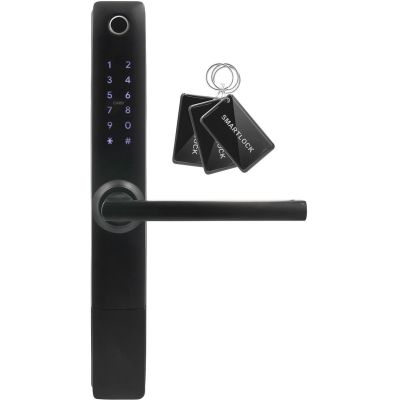 2. Klamka z kontrolerem dostępu EURA ELH-20H4 Black