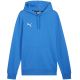 Bluza Puma Team Goal Casuals Hoody M 658618 02