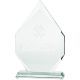 6. Trofeum szklane grawerowane 3D z etui
