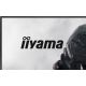 9. MONITOR IIYAMA LED IPS 23,8" GB2441HSU-B1 Black Hawk 144Hz