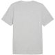 6. Koszulka Puma Graphics Summer Sports Tee II M 627909 04