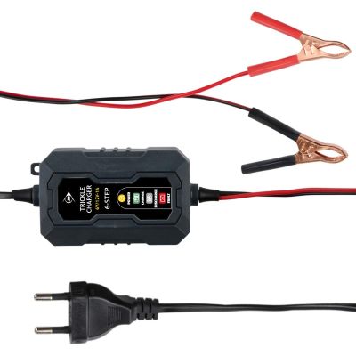 3. PROSTOWNIK DO AKUMULATORÓW DUNLOP  6/12V