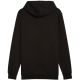2. Bluza Puma Ess Logo Lab Hoodie FL M 684669 01