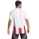 2. Koszulka adidas Striped 24 JSY M IW2142