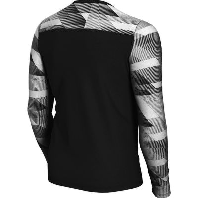 Koszulka Nike Dry Park IV JSY LS GK Jr CJ6072