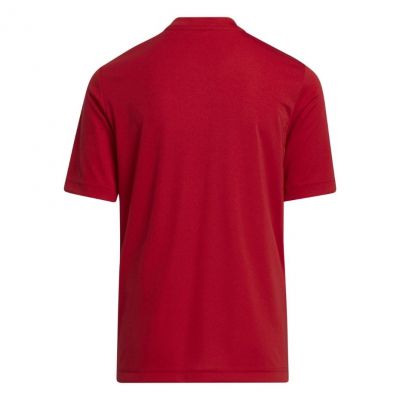 3. Koszulka adidas Entrada 22 Graphic Jersey Jr H58983