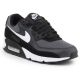 14. Buty Nike Air Max 90 CN8490-002
