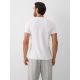 2. T-shirt slim z nadrukiem męski 4F 4FRAW26TTSHM4666-10S