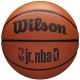 Piłka do koszykówki Wilson NBA Jr DRV Fam Logo Ball WZ3013001XB