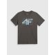 7. T-shirt regular z nadrukiem męski 4F 4FRSS26TTSHM4295-22S