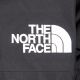 3. The North Face M GTX Mountain Jacket NF0A831MKX81 Czarne L
