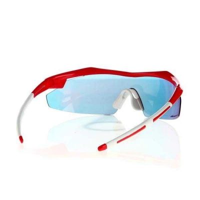 10. Okulary przeciwsłoneczne Goggle E690-3