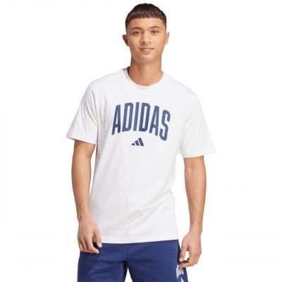 2. Koszulka adidas Collegiate Lineage Graphic M JM6416