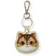 Etui Nimmy Big Eyed Pet 2.0 Cat na lokalizator - zielone