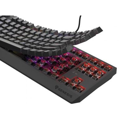 17. GENESIS Thor 230 TKL klawiatura Gaming USB QWERTY US English Czarny