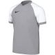 Koszulka dla dzieci Nike Dri-FIT Trophy VI szara HV8158 012