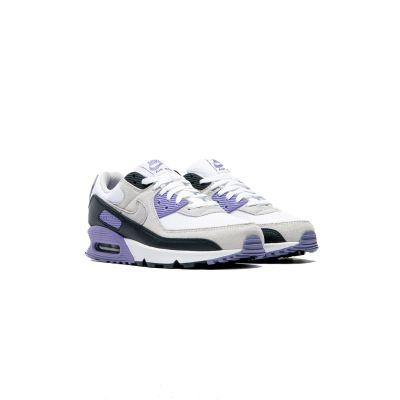 5. Buty męskie NIKE AIR MAX 90 (DM0029-114)