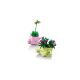 5. LEGO 11506 Botanicals - Bujające się roślinki