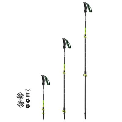 2. Kije trekkingowe Spokey Carbon SPK-940975