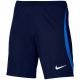 Spodenki Nike Dri-FIT Strike 23 M DR2314 451