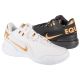 Buty Nike LeBron NXXT Gen AMPD FJ1566-103