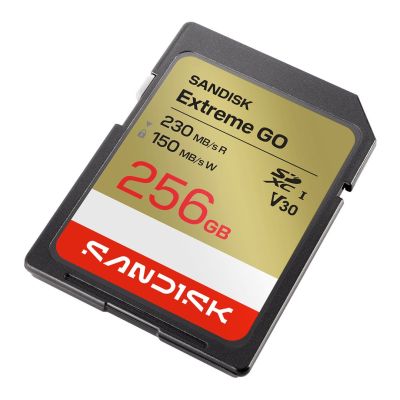 2. Sandisk Extreme Go SD UHS-I 256GB SD 230MB/s(R) / 150MB/s(W)