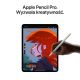 6. Apple 11-inch iPad Pro (M4) WiFi 2TB with Nano-texture Glass - Silver