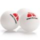 3. Zestaw do ping ponga Meteor Sunrise Rollnet 15043