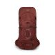 8. Plecak trekkingowy Osprey Aether 65 10006678/289/S/M