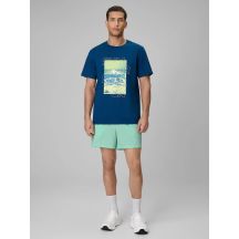 Spodenki plażowe boardshorty męskie 4F 4FRSS26UBDSM229-33S