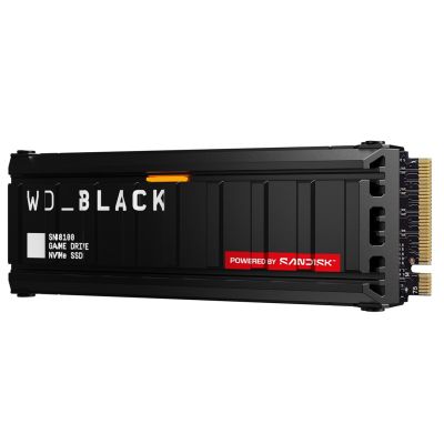 4. SSD WD Black SN8100  with HS  2TB WDS200T1XHM