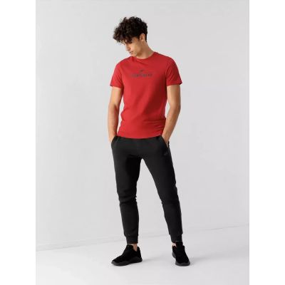 6. Koszulka 4F M 4FSS23TTSHM539-62S