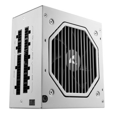 11. Zasilacz Sharkoon Rebel P20 ATX 850W Modułowy Biały