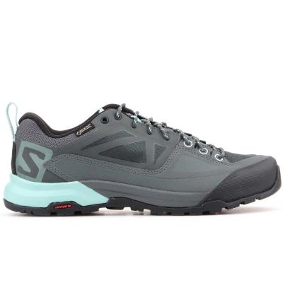 10. Salomon X Alp Spry Gtx 401619