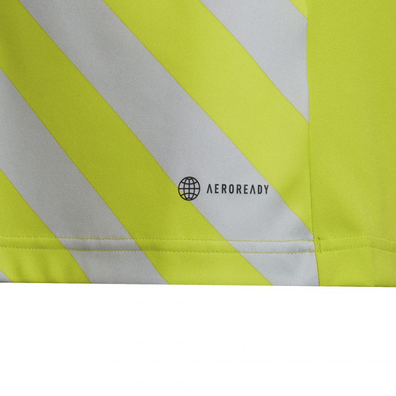 6. Koszulka adidas Entrada 22 Graphic Jersey Jr HF0133
