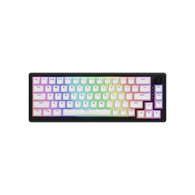 23. HATOR Skyfall Wireless 65 klawiatura Gaming USB + RF Wireless + Bluetooth QWERTY US English Czarny, Biały