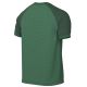 2. Koszulka Nike Dri-FIT Trophy VI HV8151-302