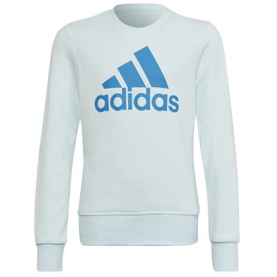 6. Bluza adidas Big Logo Swt Jr HM8707